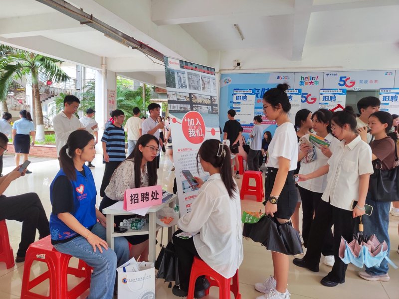 海南省人才网：助力求职与招聘，打造高效平台